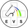 logo EVS_podgląd